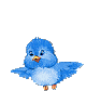 Gif animé coucou oiseau